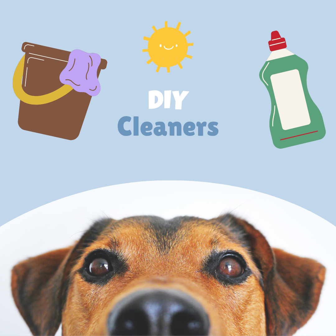 DIY Cleaners