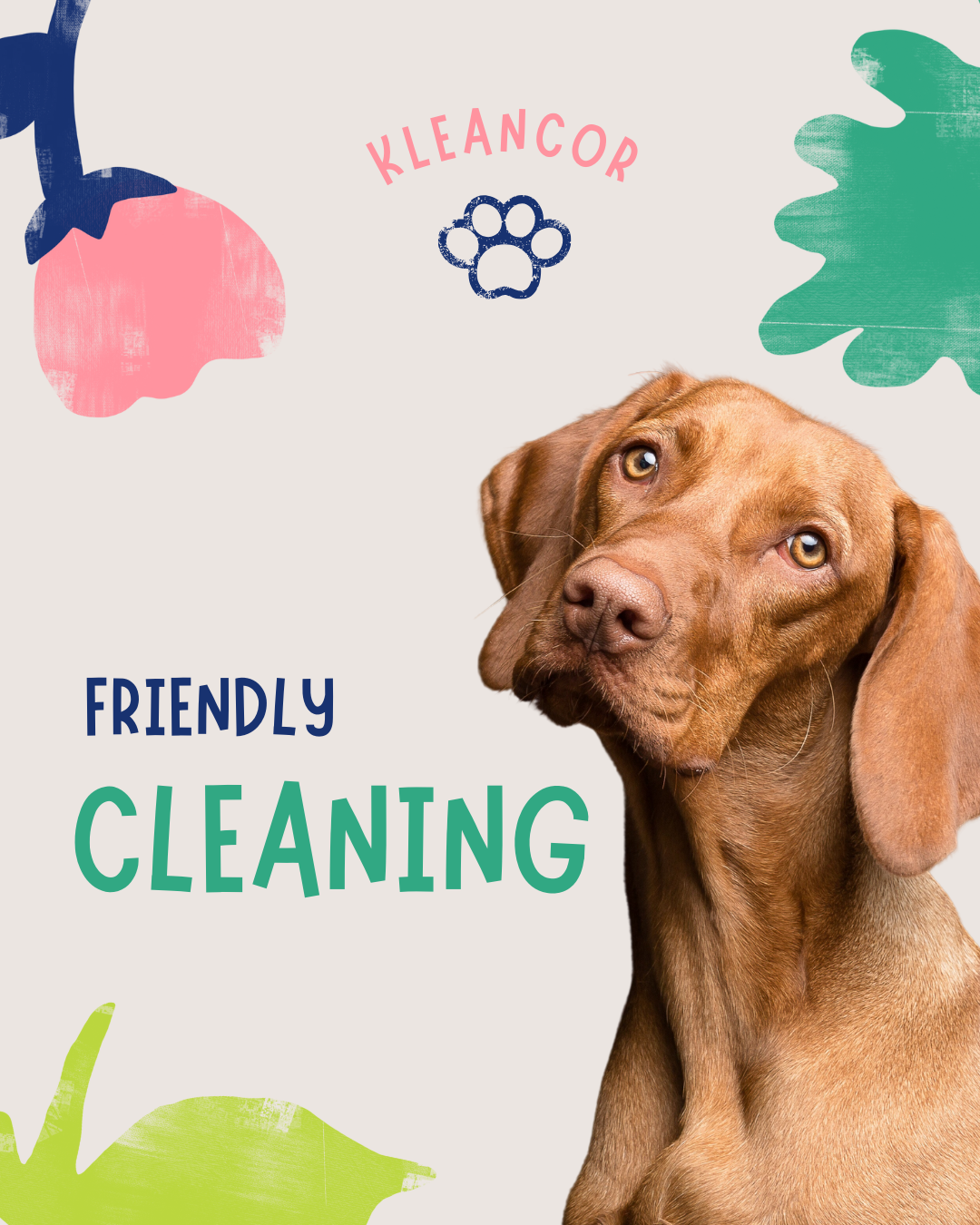 Pet-Safe Cleaners