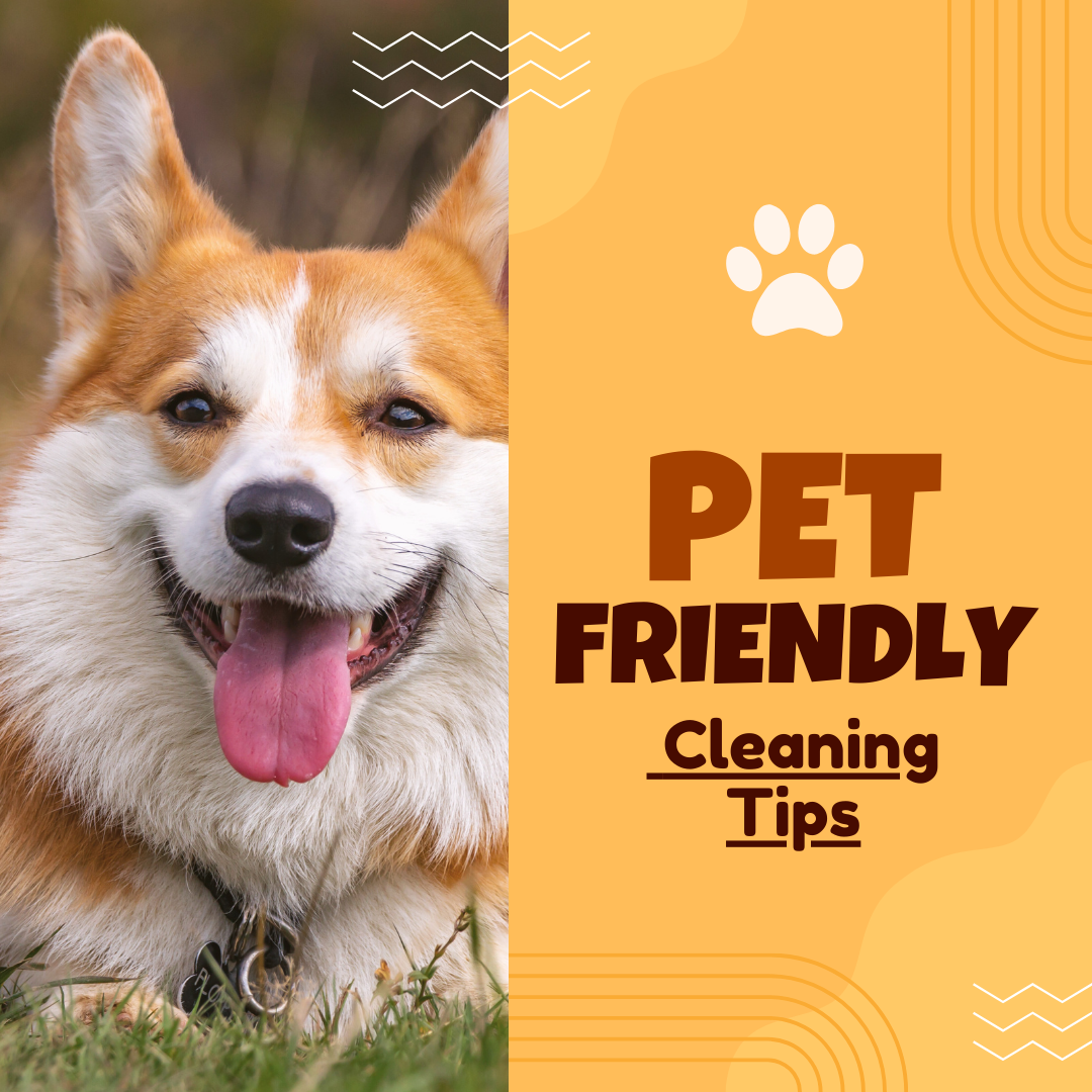 Pet-Friendly Cleaning